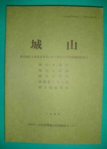 城山 新市地区土地造成事業に伴う埋蔵文化財発掘調査報告/f804