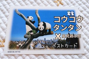 初期 2001年『 コウコウ＆タンタン× 風見鶏の館 』ポストカード 王子動物園　リーリーシンシン