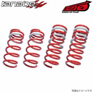 タナベ スプリング DF210 エルグランド APE50 1台分 TANABE サスペンション ニッサン ALE50DK