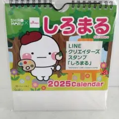 ✨しろまる✨2025年卓上カレンダー   いしいともこ