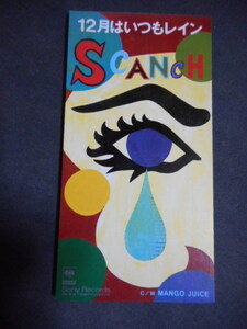 C35 【8cm CDS】 SCANCH／12月はいつもレイン