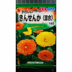 ３袋セット かわいい きんせんか 金盞花 種 郵便は送料無料