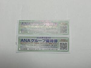 ANA株主優待券１枚（有効期限：2025/11/30）