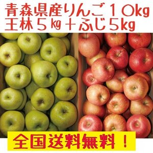 　青森県産　りんご10kgセット　王林5kg15-25玉程度、ふじ5kg15-25玉程度