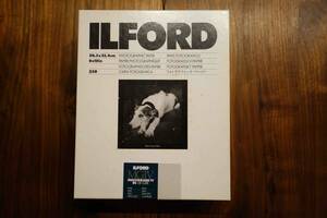 ILFORD MGⅣ RC Pearl 8×10