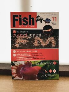 シュリンプのあれこれ 今こそ知りたい 最新 ベタ モード ミクロ ラスボラ フィッシュマガジン バックナンバー　①　2013年11月号