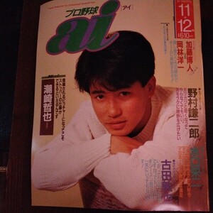 送料込み　プロ野球　ai　アイ　1991年 11＋12月号