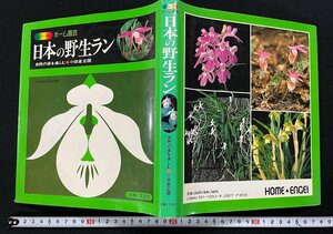 ｊ∞*　カラー版　ホーム園芸　日本の野生ラン　自然の姿を楽しむ　著・小田倉正圀　1989年85版　主婦と生活社/B38