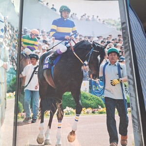 競馬　JRA ダイタクバートラム　天皇賞春　パドック　武豊騎手　ワイド六切写真