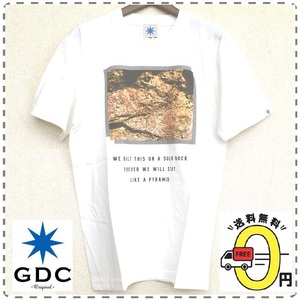 GDC ジーディーシー 綿100% 半袖Tシャツ 丸首 SolidRock コットン 男女兼用 ユニセックス メンズSサイズ 白 送料無料 A386