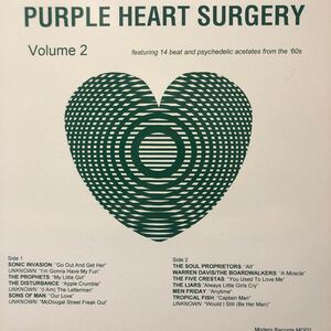 V.A. Purple Heart Surgery Vol.2 12インチ LP レコード 5点以上落札で送料無料t