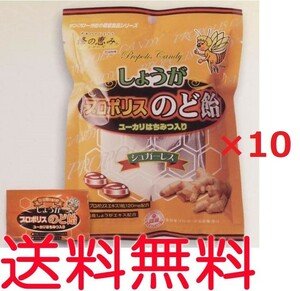 生姜（しょうが）プロポリス入りのど飴　80g ×10袋　キャンディー 代引可 送料無料