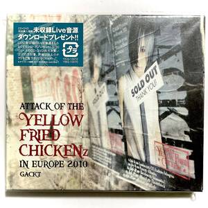 未使用　Gackt　YELLOW FRIED CHICKENz　CD 　　　SK17 