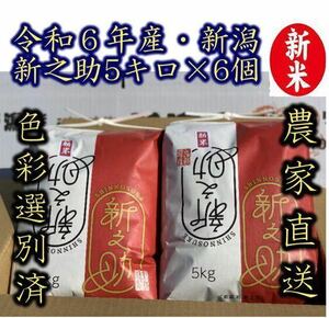 新米・令和6年産　白米　新潟新之助　30kg（5kg×6）精米無料★農家直送18