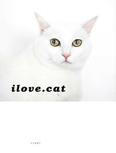 ｉｌｏｖｅ．ｃａｔ／趣味・就職ガイド・資格