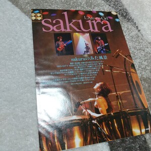 GiGS☆記事☆切り抜き☆sakura(L