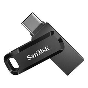 Sandisk SDDDC3-256G-G46 USB Memory 256GB