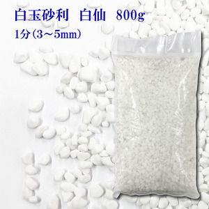 白玉砂利 　白仙　ホワイト 化粧砂利 1分 (３mm～５mm) 800g〔 送料無料 ・離島別途〕白玉石 砂利 玉石 玉砂利 白色 