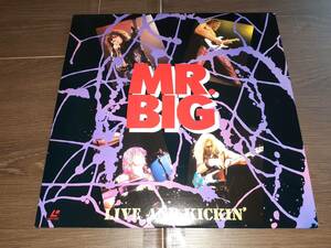 L3122◆LD* / Mr. Big / ライヴ・アンド・キッキン Live And Kickin