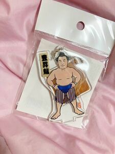 新品 豊昇龍 キーホルダー　美品 レア 未開封 未使用 立浪部屋 両国国技館 限定 アクリルキーホルダー キーチェーン 琴剣 アクリルスタンド