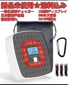 一酸化炭素チェッカー 一酸化炭素警報器 秋冬キャンプ用品 日本語音声放送