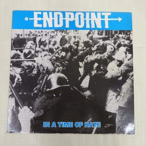 LPレコード　ENDPOINT IN A TIME OF HATE