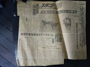 サンエイソロン　京都新聞杯の記事の切り抜き　1981年　スポニチ
