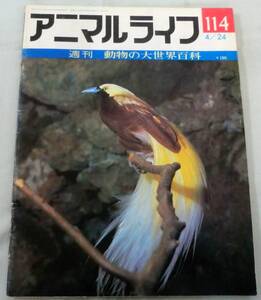 古書◆雑誌◆S48年 週刊アニマルライフ第１１４号 ◆ コフウチョウ★ビンツロング★フウキンチョウ★フウチョウ★フエガラス★フエダイ