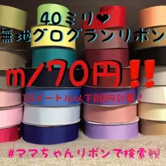 高密度グログラン❤️40ミリ❤️20番2m発送