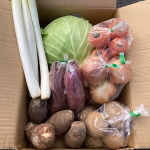 野菜詰め合わせ！100サイズ！