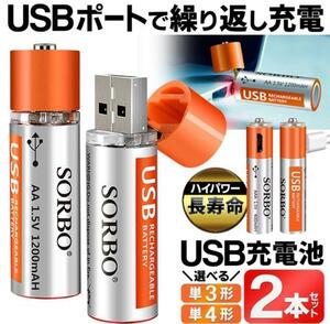 充電器・充電アダプタ不要USB充電池 2本セット(単４)