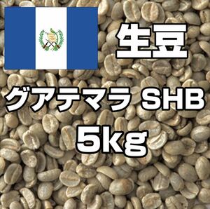 【コーヒー生豆】グアテマラSHB 5kg　 ※送料無料！！