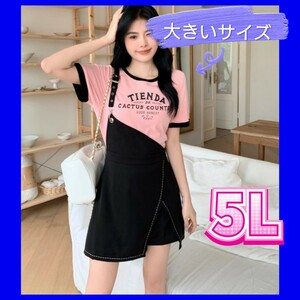 新品　Ｔシャツ　大きいサイズレディース　4XL　5Lサイズ