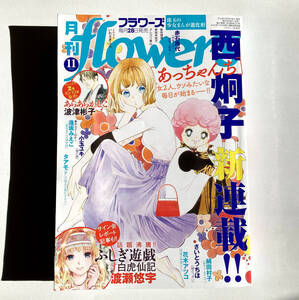 【送料無料】月刊フラワーズ flowers 2024年11月号