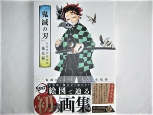 ★新品 『鬼滅の刃』吾峠呼世晴画集―幾星霜― A4判/160ページ 炭治郎と禰豆子の道のりを絵図で辿る初の画集 描き下ろし イラスト 集英社★