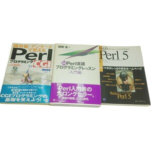 H05102 プログラミング 本 CGI 基礎 Perl 言語 Perl言語 5 入門編 入門書 WEB プロフェッショナル