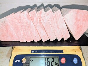 【即決】業務用養殖本鮪（マルタ産）背中/中トロブロック 1620g★１ブロック入り（サクにカット済み）