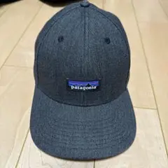 patagonia パタゴニア キャップ　グレー　フリーサイズ