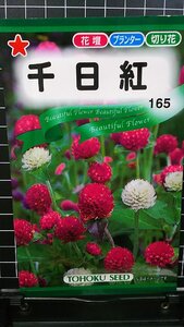 ３袋セット 千日紅 せんにちこう 種 郵便は送料無料