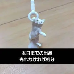 猫 2つセット