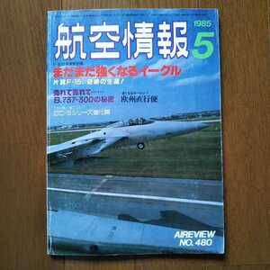 航空情報 マクダネルダグラス Ｆ-15 イーグル トップガン Ｂ７３７-３００ ＤＣ-９ 飛行機 航空機 戦闘機 ＡＩＲＥＶＩＥＷ ＴＯＰＧＵＮ　