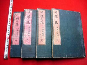 a759● 千種之花4冊揃　刷り優良　幸野楳嶺　明治24年　木版画集　田中治兵衛　和本 古書 古文書