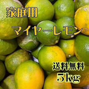 熊本県産 マイヤーレモン 家庭用5kg 送料無料