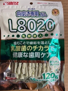 ●120g×10袋セット♪ 国産　ゴン太の歯磨き専用ガム L8020乳酸菌入り クロロフィル 