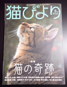 【新品未読】猫びより 2019年5月号(No.105)【箱出し品】