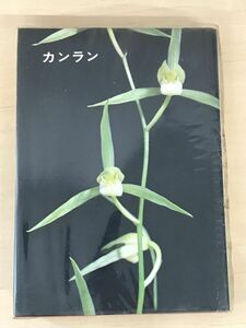 上野 元 澤 完 西内秀太郎 早川源蔵「 カンラン 寒蘭の美と栽培」