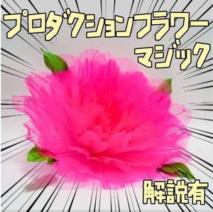 手品　プロダクションフラワー　出現　花束　スプリング　桃 リボン袋付【説明有】