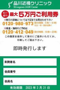 ★即対応・支払い省略可★　品川近視クリニック レーシック ICL　乱視 近視 視力回復治療 クーポン 割引