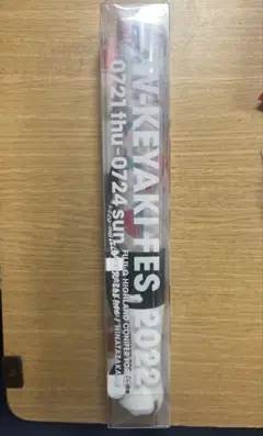 W-KEYAKI FES.2022 ペンライト