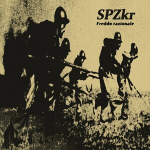 SPZkr - Freddo razionale LP (DL-Code) Detriti Records New Wave/Alternative/Dark Wave/Experimental/Industrial/Post Punk/Synth Pop